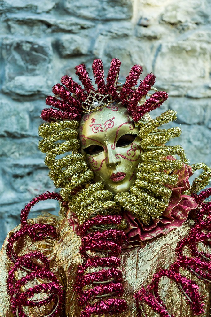 Carnevale Castiglion Fibocchi Febbraio (156).jpg
